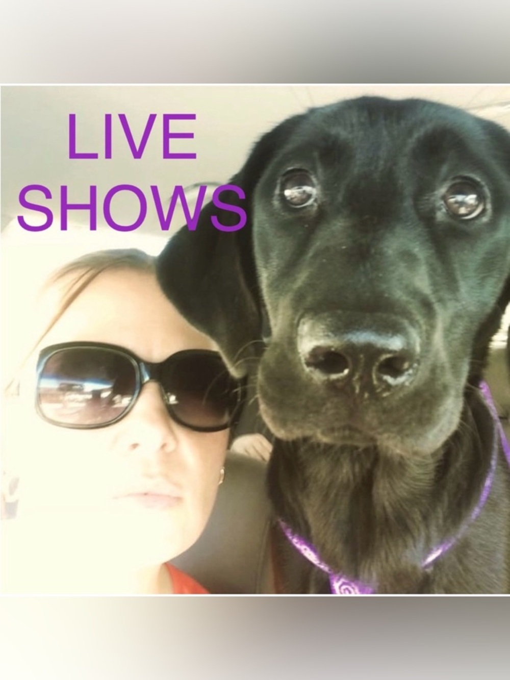 LIVE SHOW NOTIFICATIONS- Live on Sunday at 1 pm CST. Fair starts. Women’s stuff